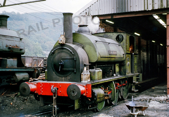 AE1680  Mountain Ash 1272 RPC117