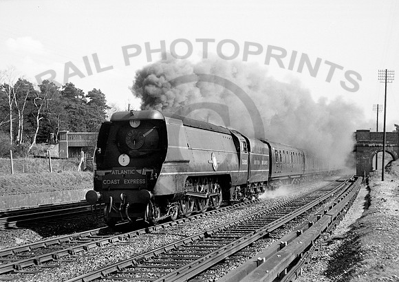 35005-Y-Pirbright-RPC1951-132