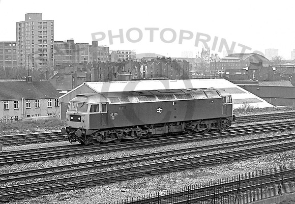 47255-Bedminster-150380-JC102