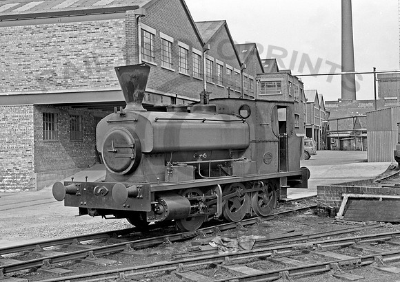 AB1576  Alders Tamworth  220467 HB67B708