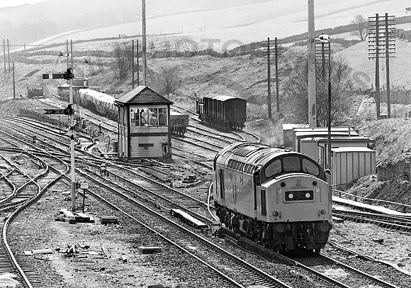40155-Y-PeakForest-230382-031281-JC564