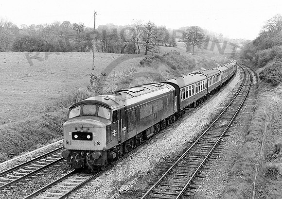 46032-Y-Whiteball-190579-HB925