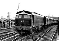 A7 Cork 260469 RPC371
