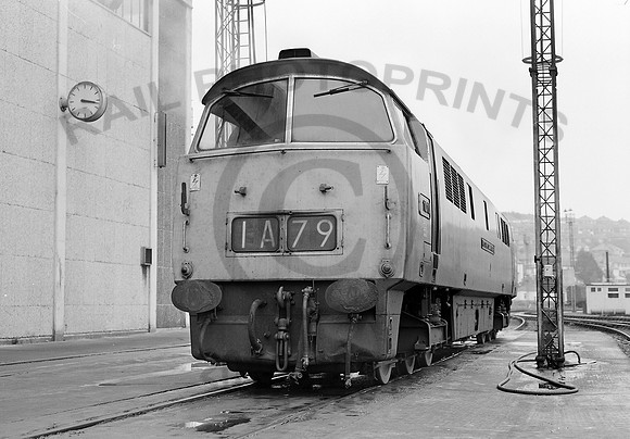 1010-Y-Laira-181075-RPC190