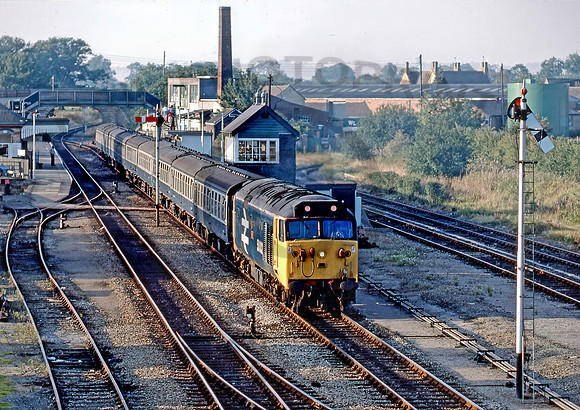 50002-Y-MoretoninMarsh-210986-BR182R