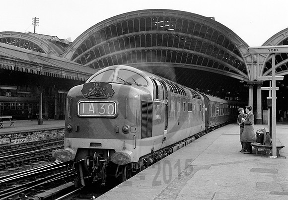 D9004-Y-York-1963-Raw939
