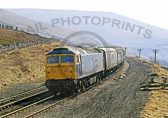 47406-Dent-250382-JC758