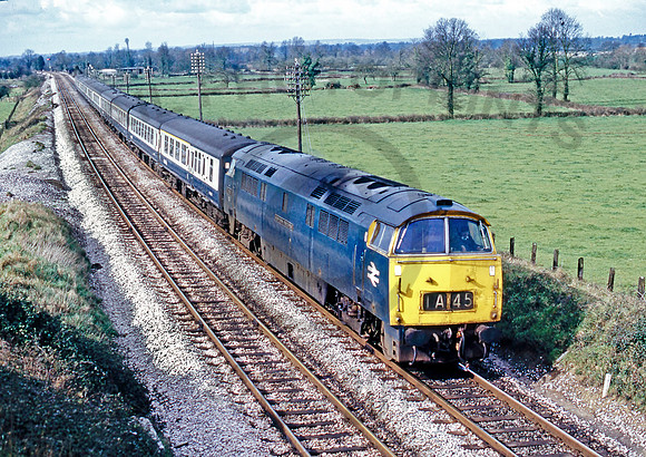 1033-Y-CastleCary-0475-RPC334