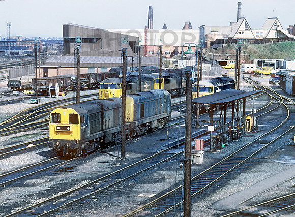 Leicester TMD 050487 BR016R