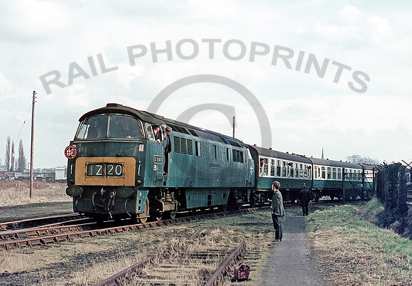 D1047-Y-Hereford-200469-RPC824
