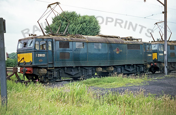 26021-Y-Reddish-210768-JC014