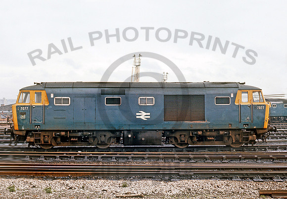 D7077-Y-BathRoad-0272-RPC30
