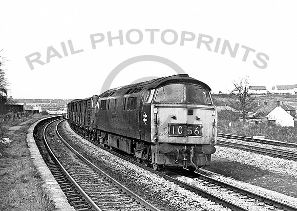 1056-Y-AshleyDown-200376-JC1
