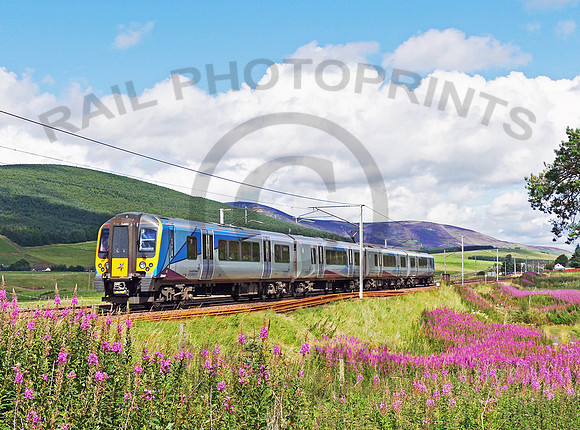 350401 Lamington 170817 JC281