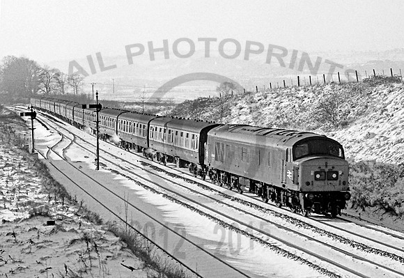 45009 Whiteball 010179   JC667