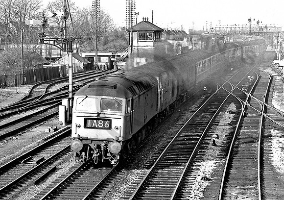 1677-7001-Y-Oxford-090272-DM007