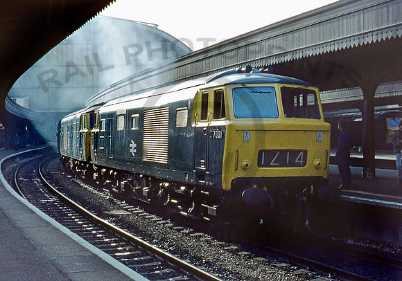 7001-Y-Paddington-220973-RPC291