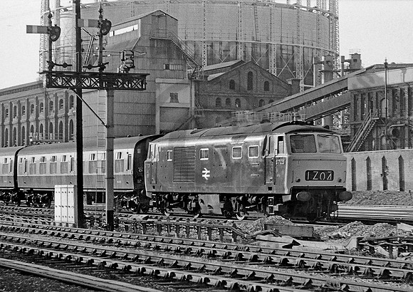 D7026-Y-OldOakCommon-1973-RPC737