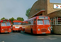 Midland Red 5592, AHA 192B, 1974  RPC195