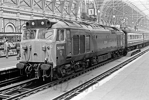 50048-Paddington-300678-JC