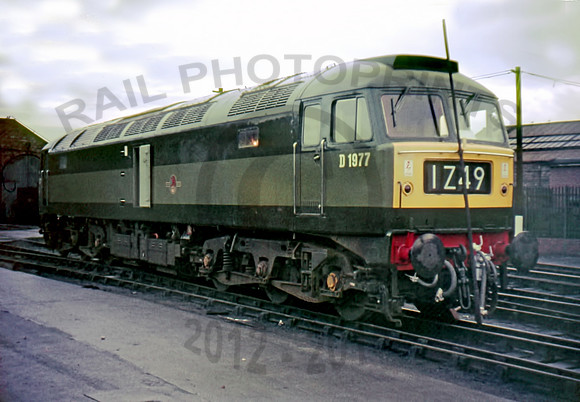D1977 Crewe Works BTM   1165  RW285