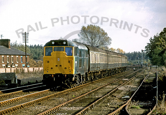 31261-Brandon 051179-GE2352