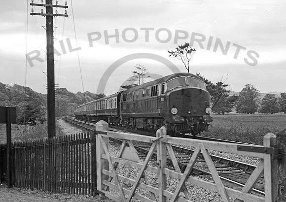 D602-X-StokeCanon-0961-RT269