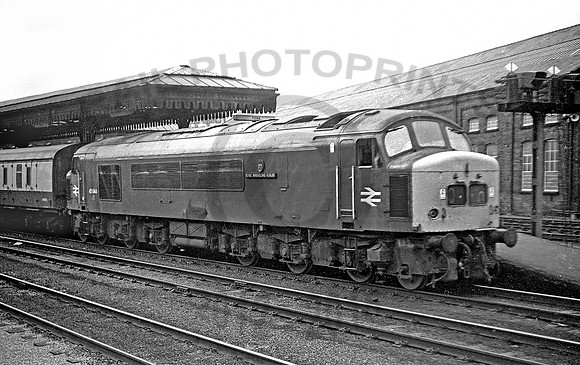 45044-York-230777-JC