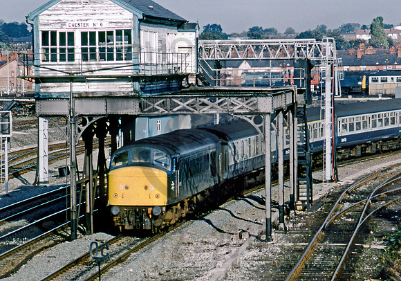 45113 Chester Chester  211083 BR961
