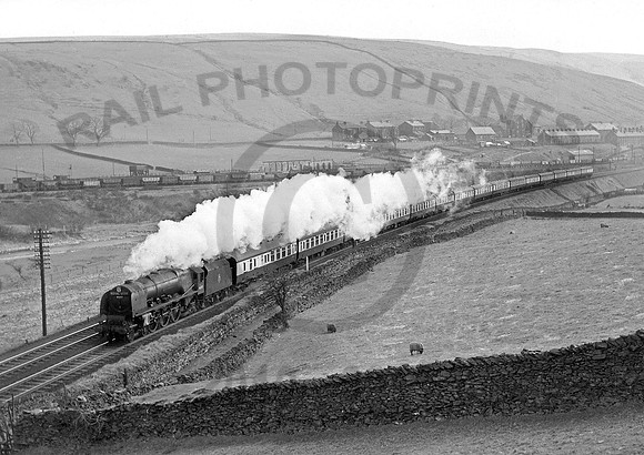 46257-Y-Tebay-0355-RPC125