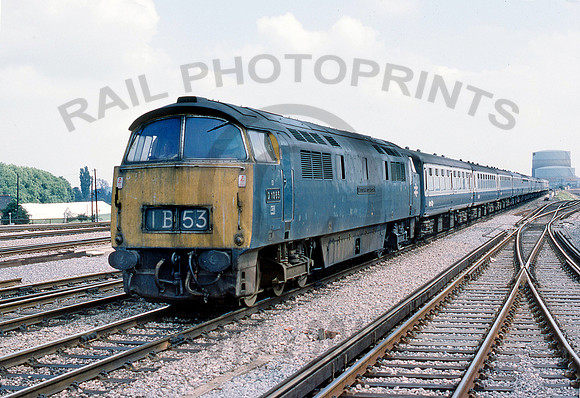 1065-Y-Reading-0775-RPC256