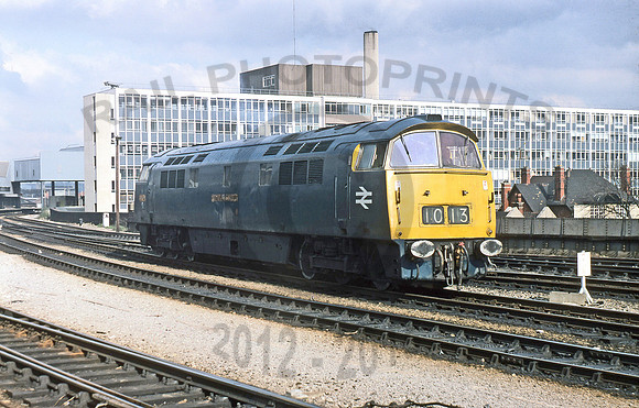 1013 Bristol 0377 GS113