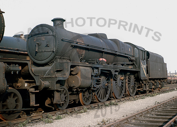 45590-Y-Oxley-0366-BR570