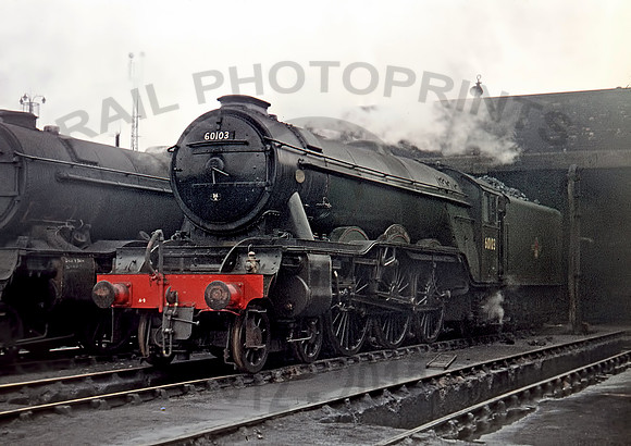 60103-Y-KingsCrossshed-0660-IT190