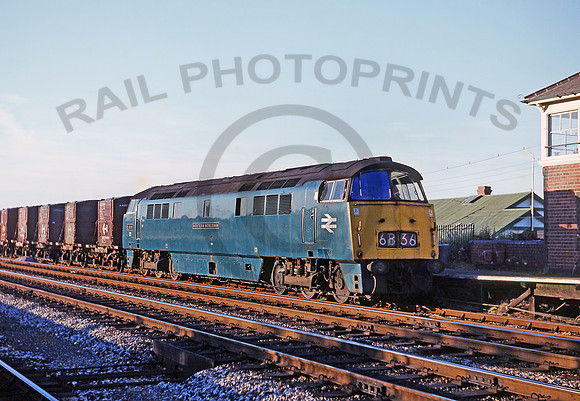 D1058-Y-DawlishWarren-140771-DCC0776-JC825