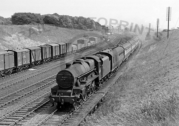 45678-Y-Weaver-1949-RW607