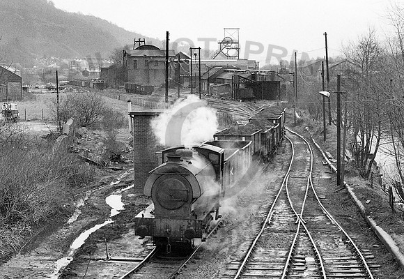 RSH-NCB8-Y-MountainAsh-280379-HB513