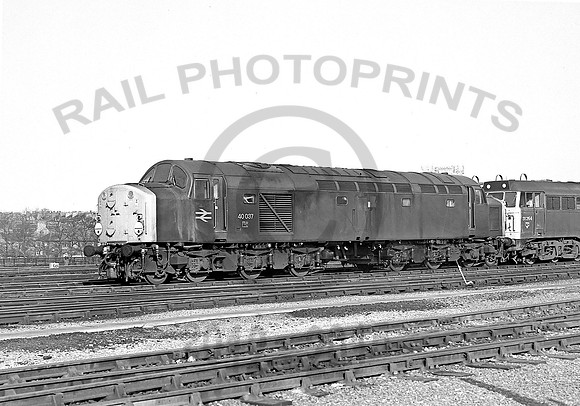 40037-YorkSP-060480-JC994