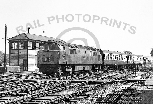 D1043 Exeter St Davids 1971 RPC910