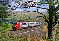 221106 Greenholme 220805 JC031