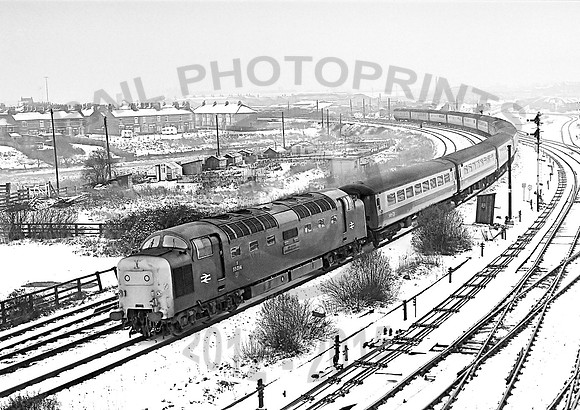 55014-Y-CliftonYork-020280-JC205