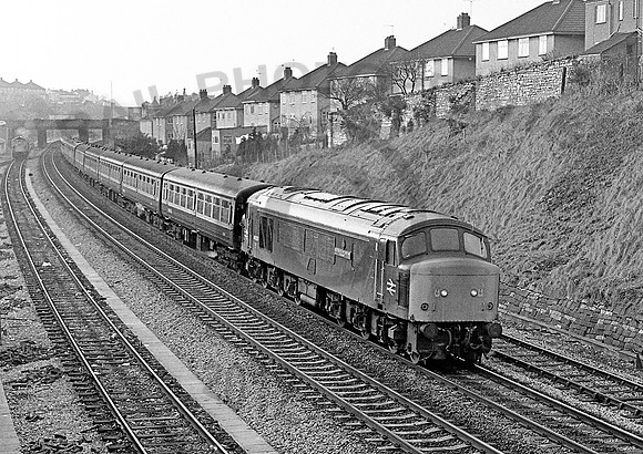 46026-Y-Malago-180180-JC725