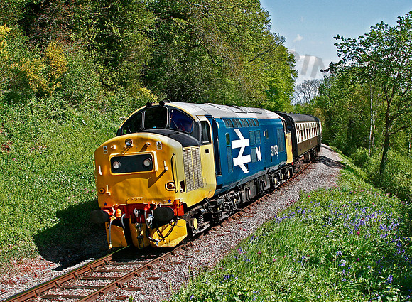37190-Nethercott-080505-JC019