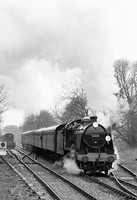 31806-Y-Medstead-150484-HB524