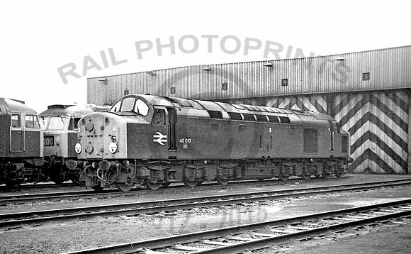 40010-Toton-271177-JC