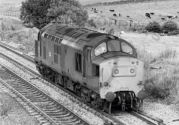 37147-Y-Greenhill-100882-JC286