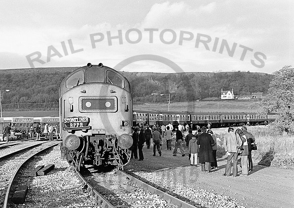 37232-Merehead-241179-JC228