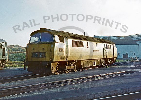 1067-Y-OldOakCommon-0973-RPC314