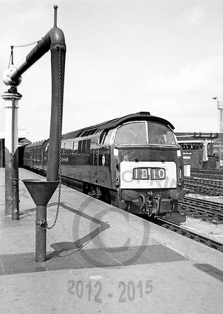 D1024-Y-Bristol-0764-RPC208