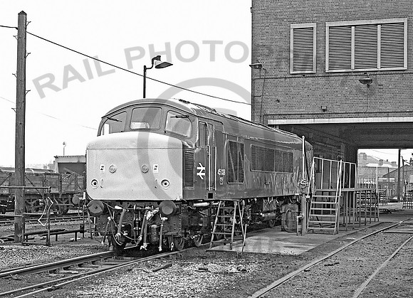 45038-Y-DerbyWorks-040481-JC423